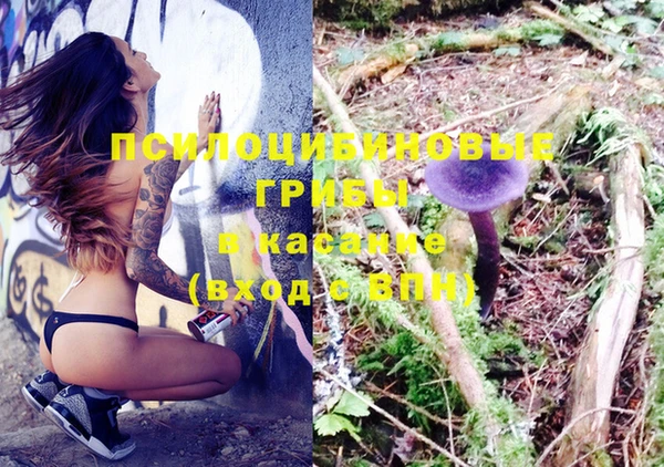 амф Баксан