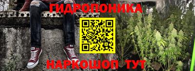 PSILOCYBIN Азнакаево