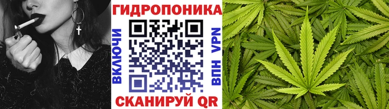 Канабис конопля Изобильный